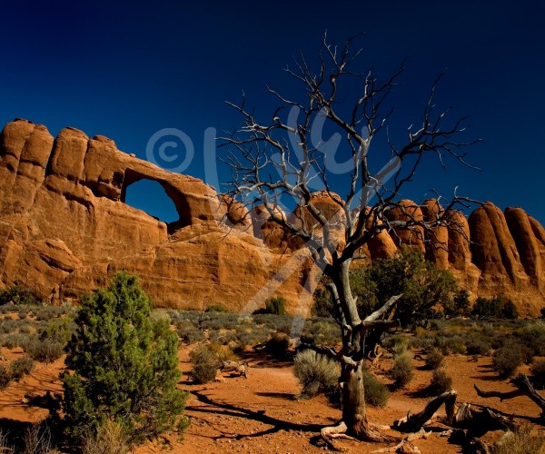 UTAH The Arches National Park